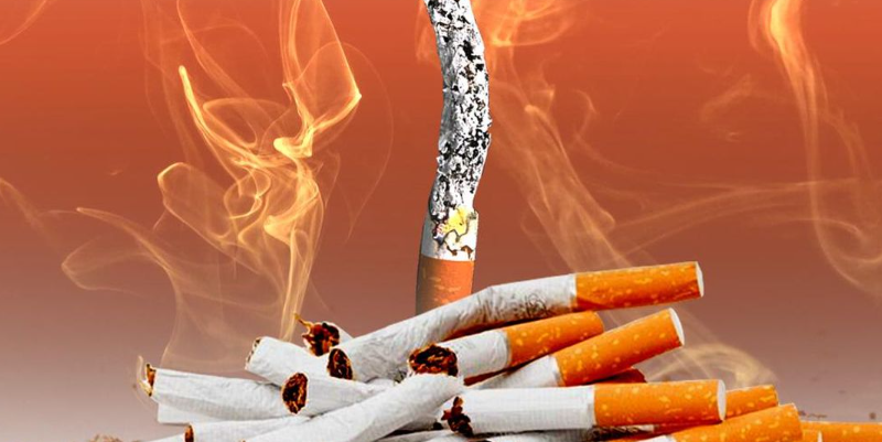 Zat Racun Rokok Merusak Sel Tubuh Manusia